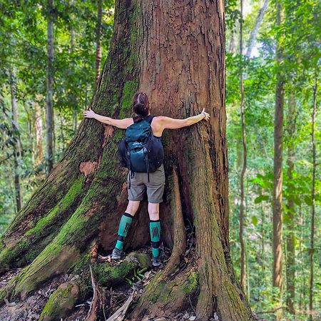 Thejungleguide - Lodges & Treks Bukit Lawang Buitenkant foto