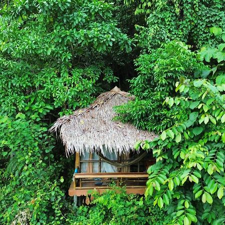 Thejungleguide - Lodges & Treks Bukit Lawang Buitenkant foto