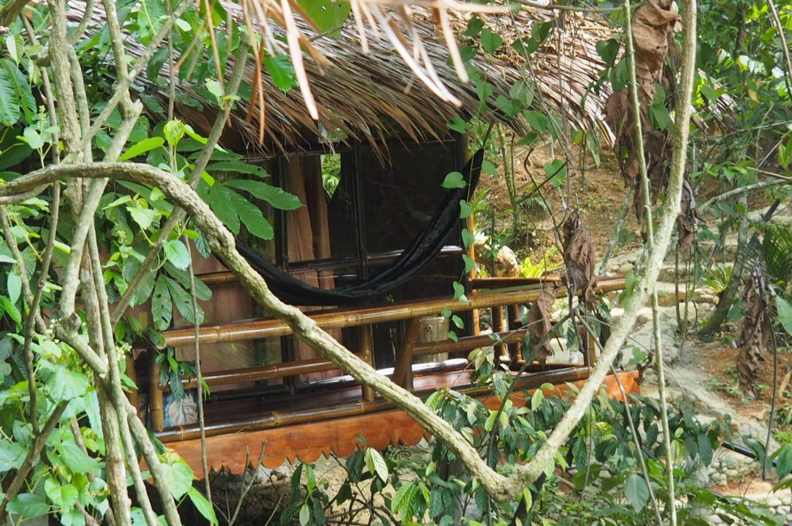 Thejungleguide - Lodges & Treks Bukit Lawang Buitenkant foto