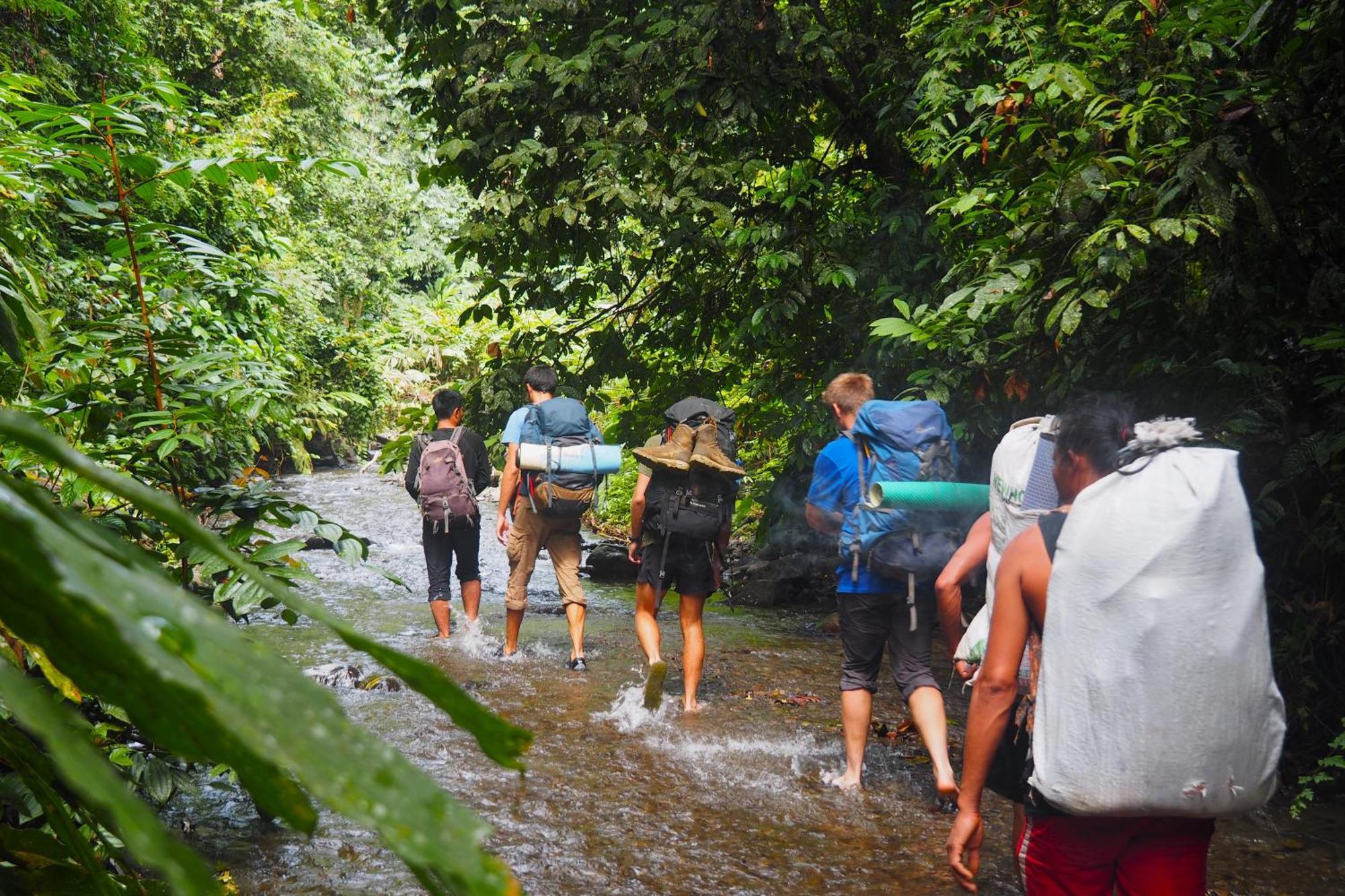 Thejungleguide - Lodges & Treks Bukit Lawang Buitenkant foto