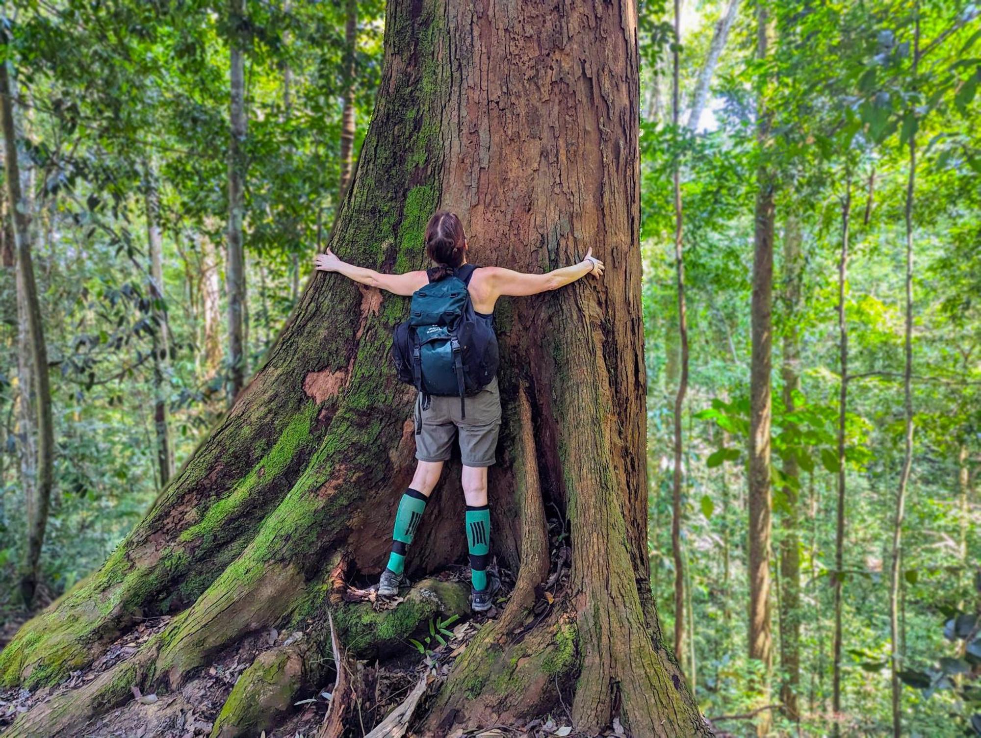 Thejungleguide - Lodges & Treks Bukit Lawang Buitenkant foto