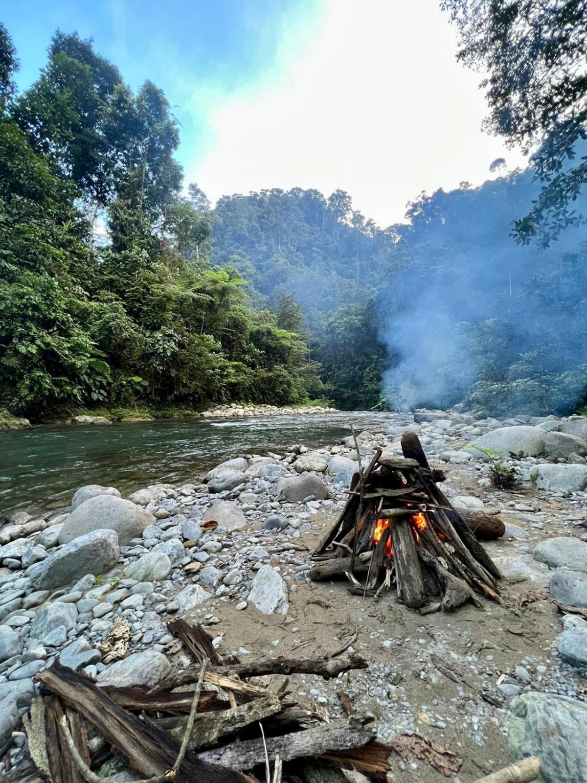 Thejungleguide - Lodges & Treks Bukit Lawang Buitenkant foto