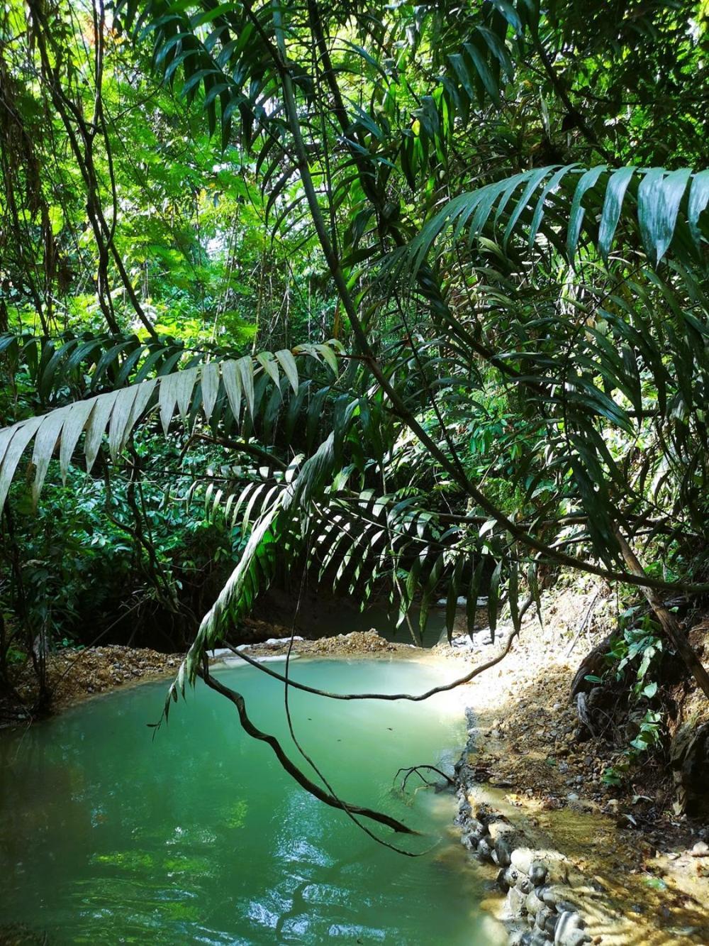 Thejungleguide - Lodges & Treks Bukit Lawang Buitenkant foto