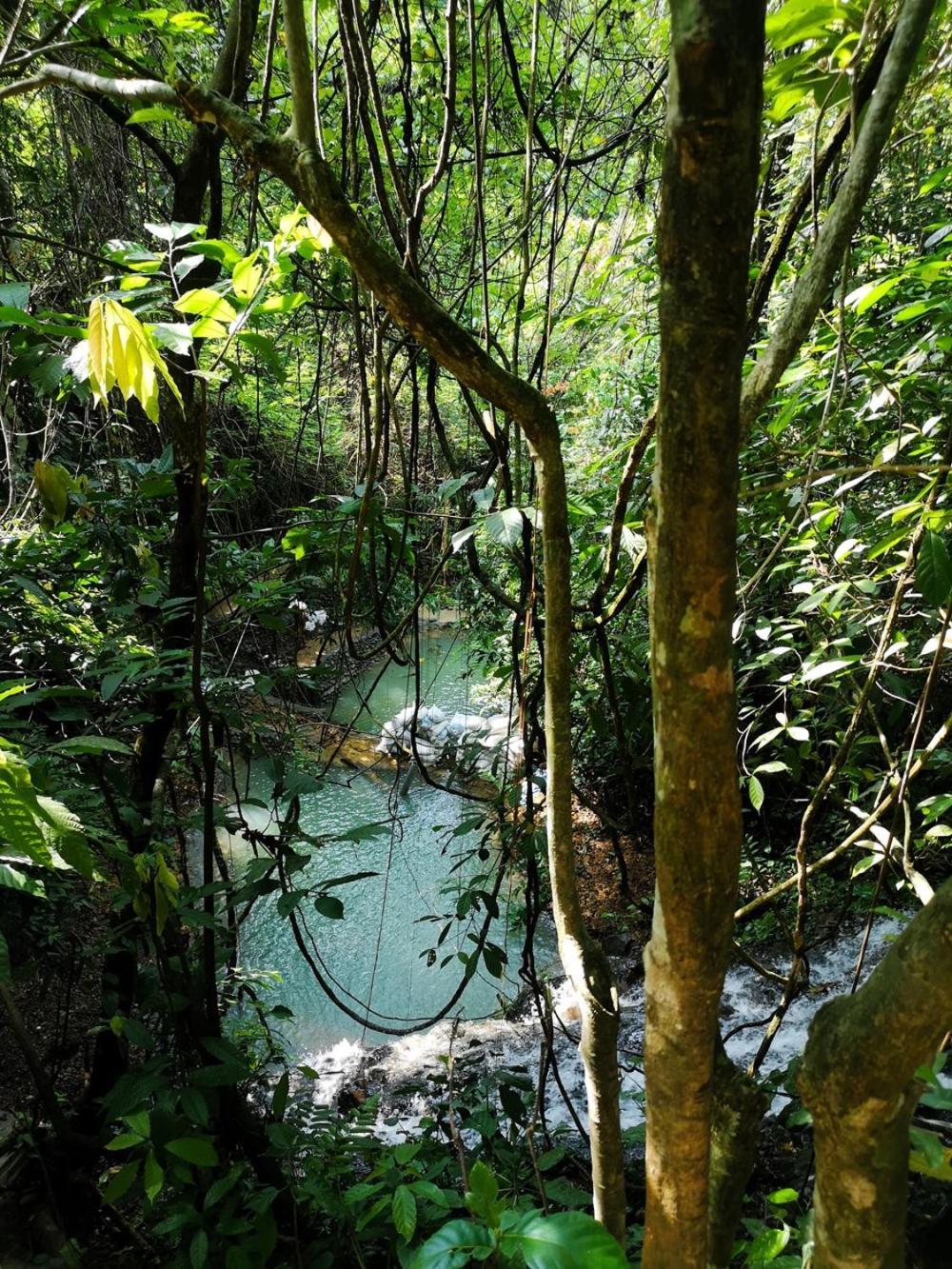 Thejungleguide - Lodges & Treks Bukit Lawang Buitenkant foto