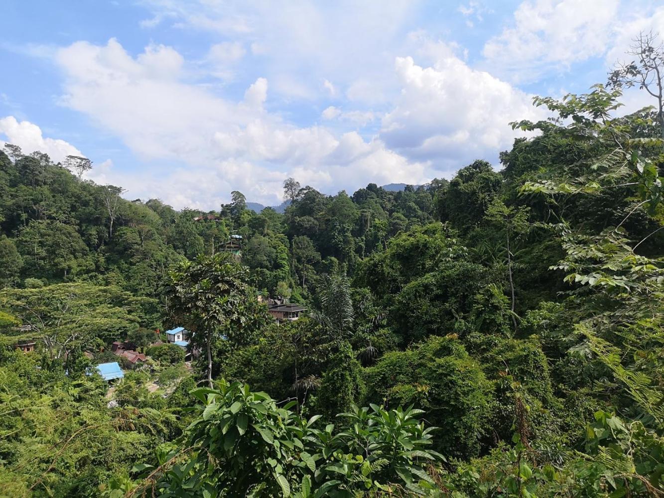 Thejungleguide - Lodges & Treks Bukit Lawang Buitenkant foto