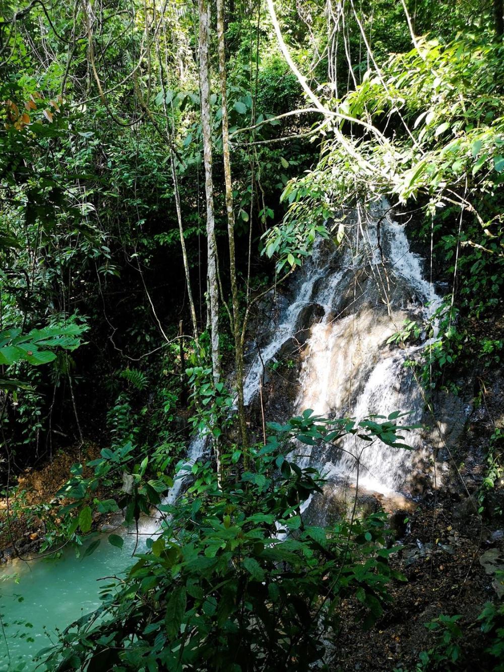 Thejungleguide - Lodges & Treks Bukit Lawang Buitenkant foto