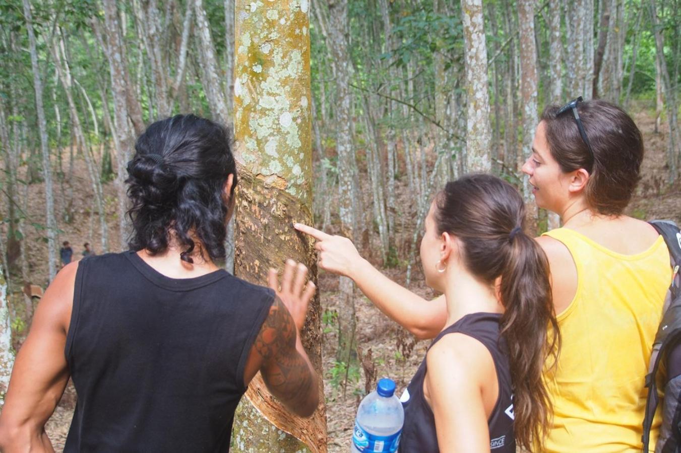 Thejungleguide - Lodges & Treks Bukit Lawang Buitenkant foto