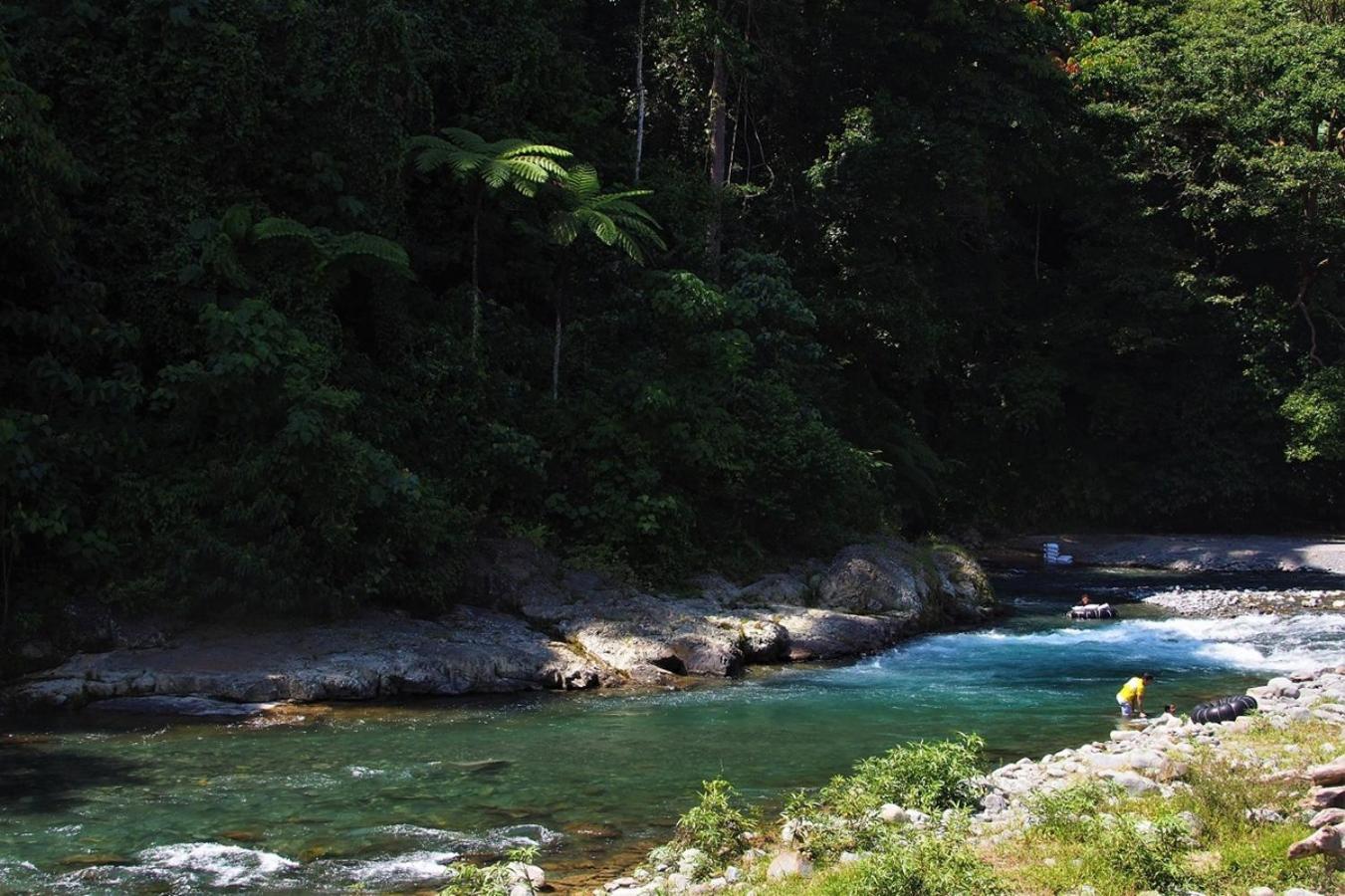 Thejungleguide - Lodges & Treks Bukit Lawang Buitenkant foto
