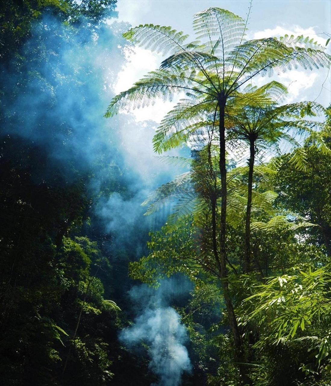 Thejungleguide - Lodges & Treks Bukit Lawang Buitenkant foto