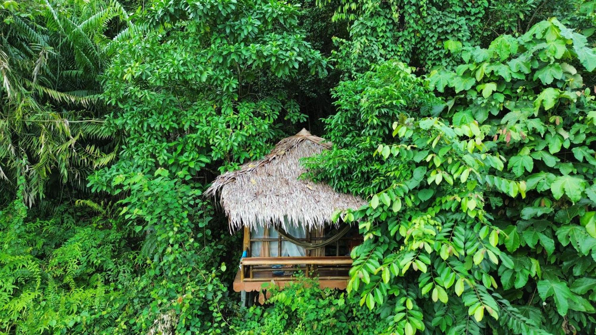 Thejungleguide - Lodges & Treks Bukit Lawang Buitenkant foto