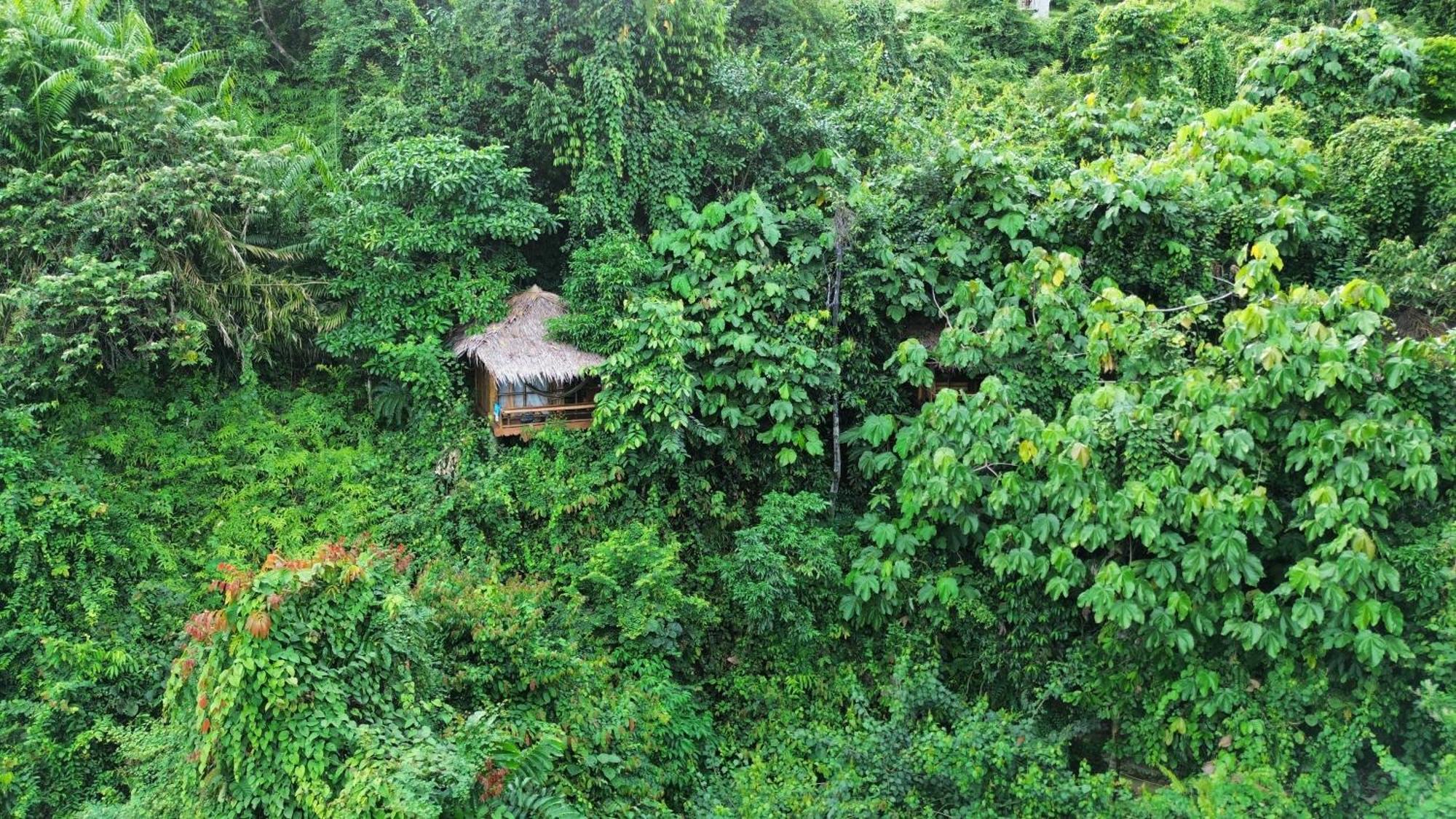 Thejungleguide - Lodges & Treks Bukit Lawang Buitenkant foto